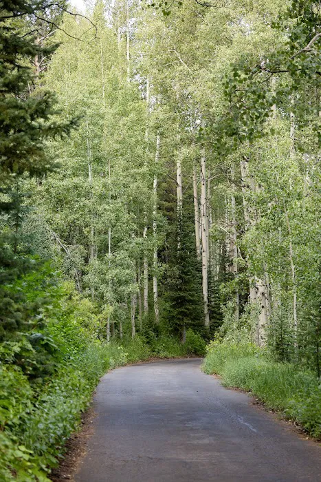 Spruces Campground Picture 9