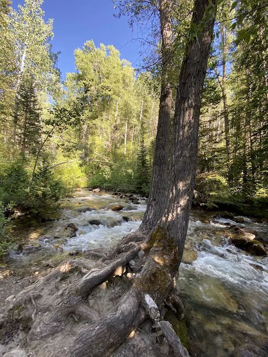 Tanners Flat Campground Picture 2