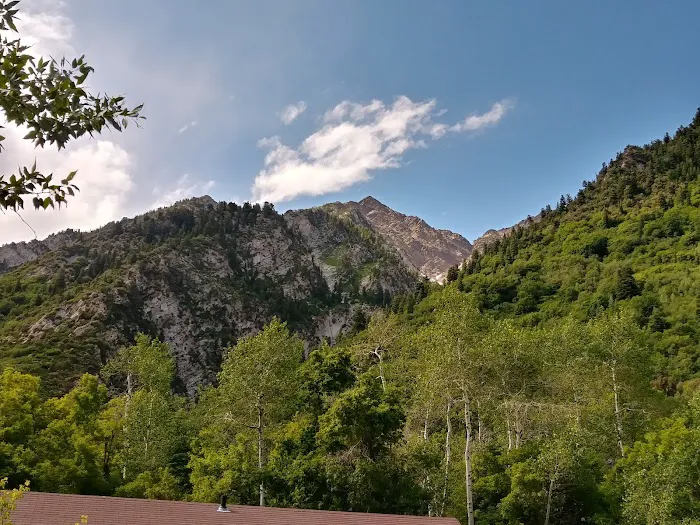 Tanners Flat Campground Picture 6