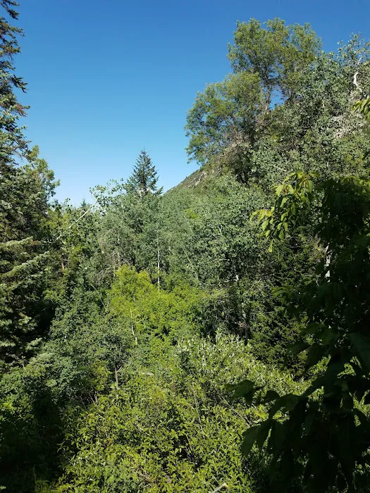 Tanners Flat Campground Picture 5