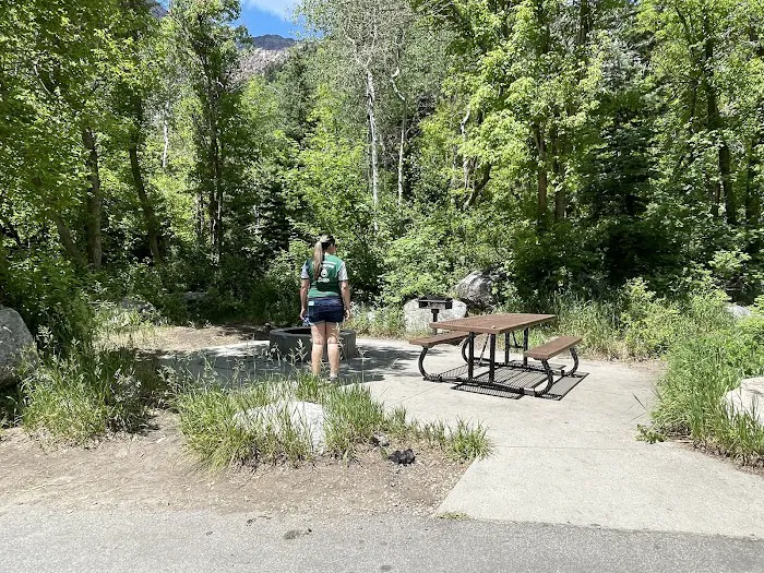Tanners Flat Campground Picture 9