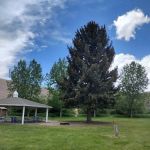 Old Church Group Campground