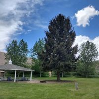 Old Church Group Campground ico