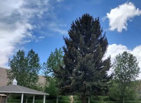 Old Church Group Campground