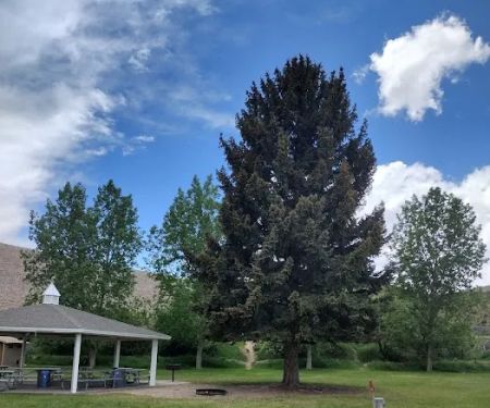 Old Church Group Campground