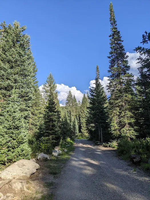 Redman Campground Picture 1