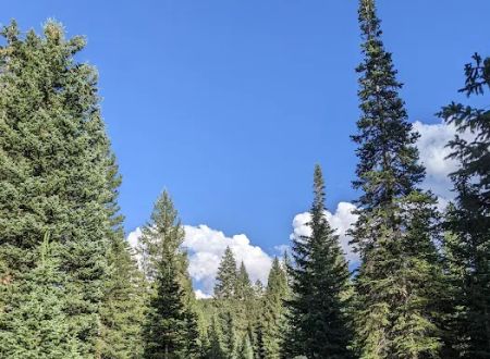 Redman Campground