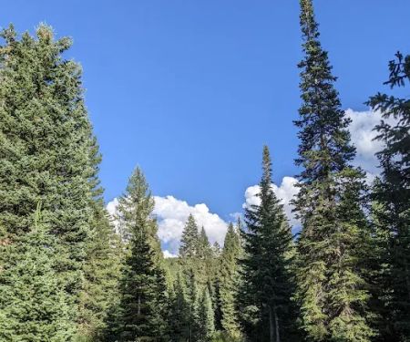 Redman Campground
