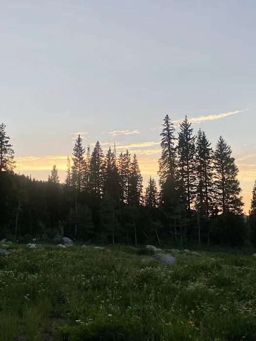 Redman Campground Picture 5