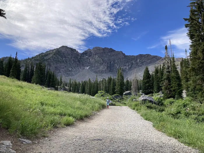 Albion Basin Campground Picture 2