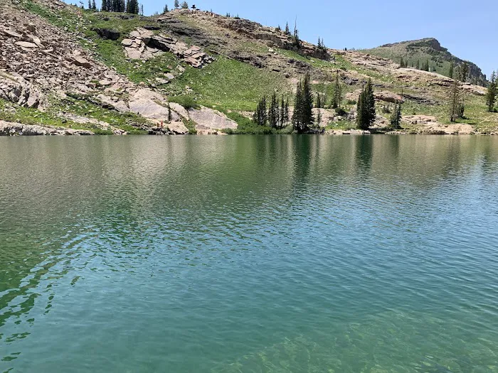 Albion Basin Campground Picture 3