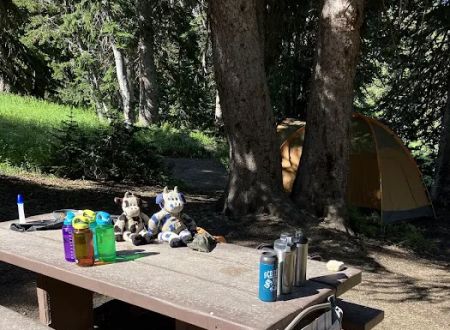 Albion Basin Campground
