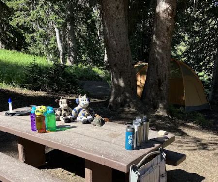 Albion Basin Campground