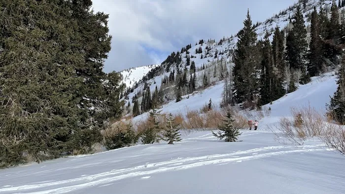 Albion Basin Campground Picture 6