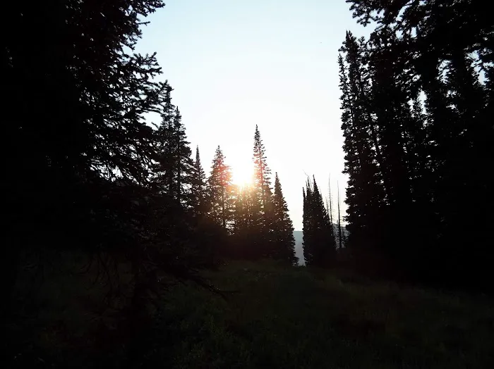 Albion Basin Campground Picture 8