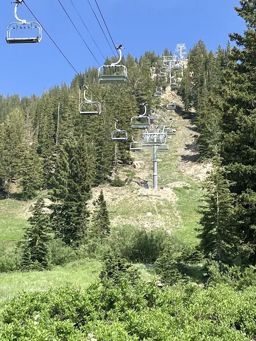Albion Basin Campground Picture 7