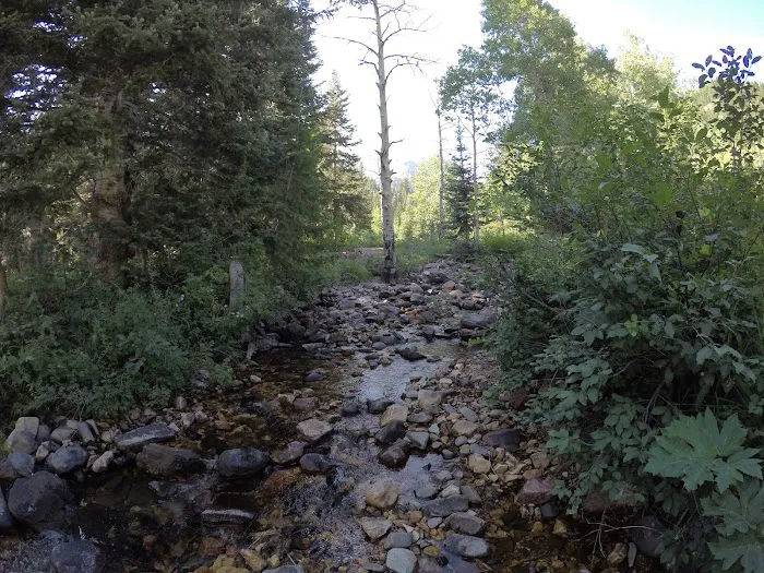 Kimball Campground Picture 4