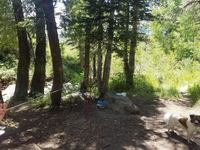 Kimball Campground Picture 7
