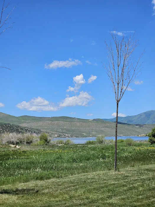 Hawthorne Campground Picture 10