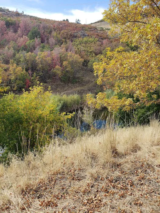 McHenry Campground Picture 2