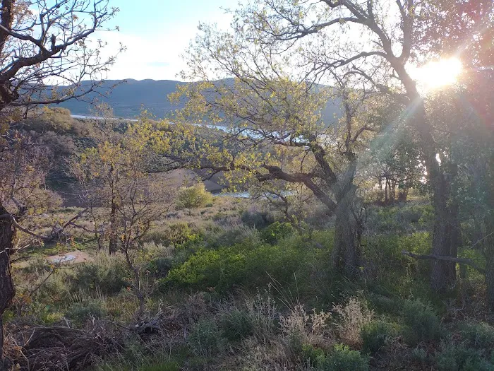 Keetley Point Campground Picture 6
