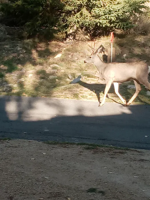 Hailstone Campground Picture 9