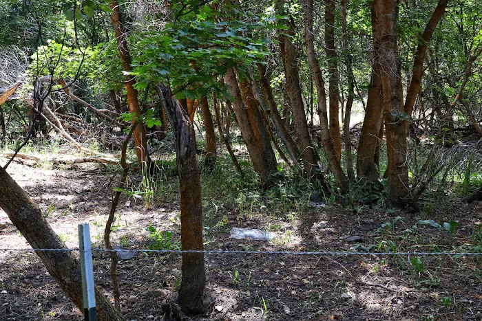 Middle Canyon Campground Picture 1