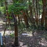 Middle Canyon Campground