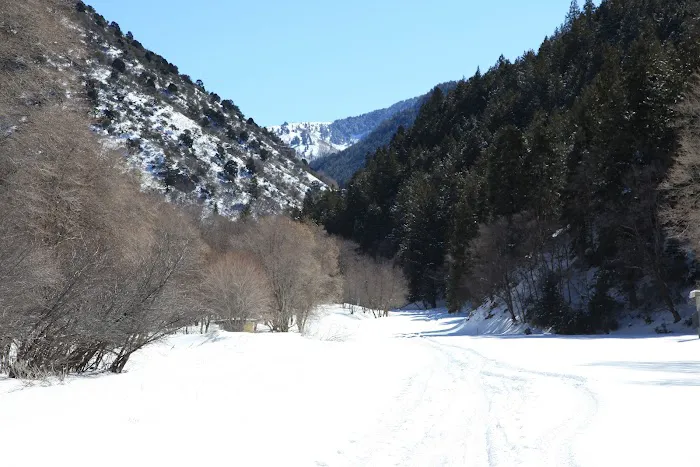 Middle Canyon Campground Picture 8
