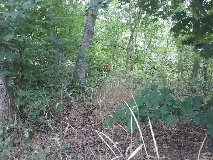 Legion Park Campground Picture 7