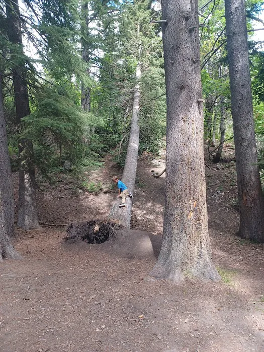 Stonemason Site, Granite Flat Campground, Uinta-Wasatch-Cache National Forest, American Fork, Utah Picture 6