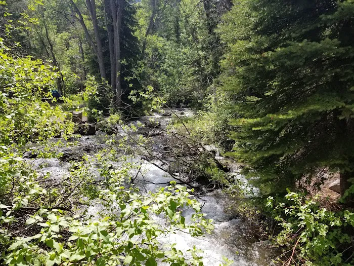 Granite Flat Campground Picture 6