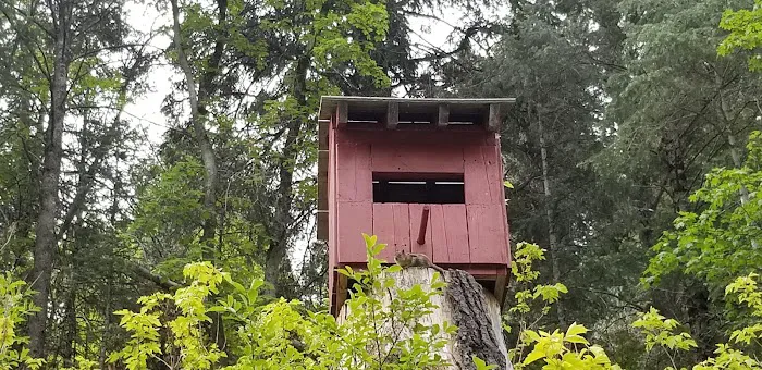 Little Mill Picture 1