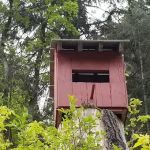 Little Mill