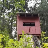 Little Mill ico