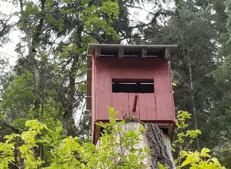 Little Mill