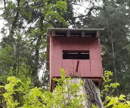 Little Mill