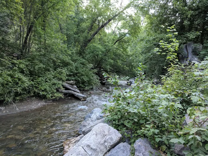 Little Mill Picture 6