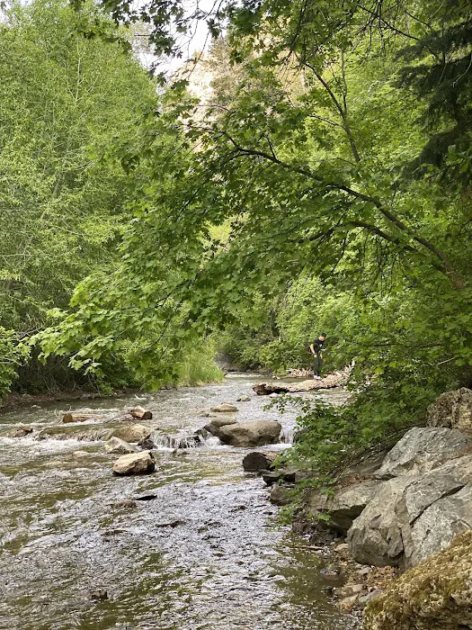 Little Mill Campground Picture 1