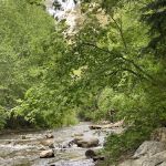 Little Mill Campground