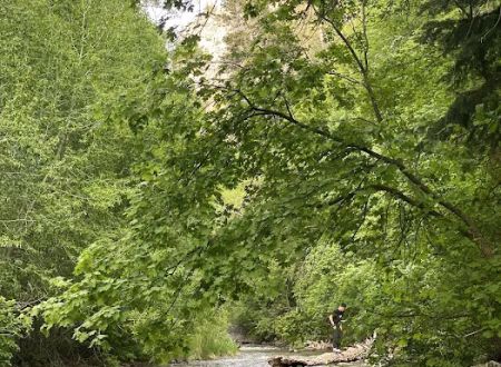 Little Mill Campground