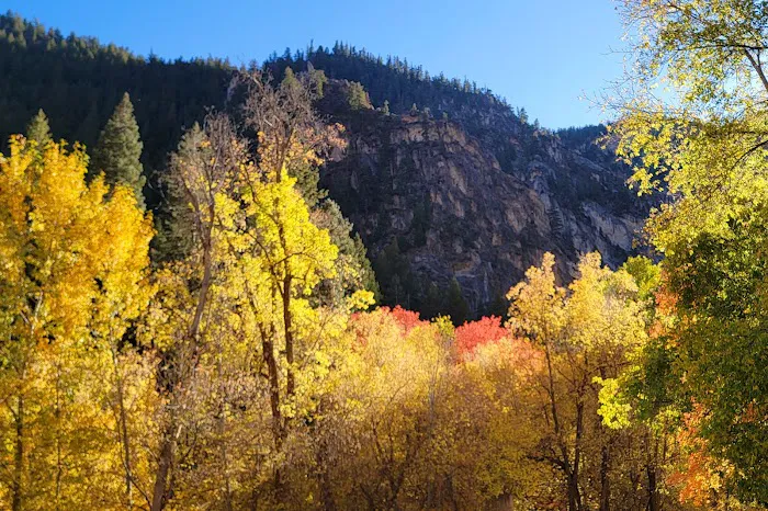 Little Mill Campground Picture 4