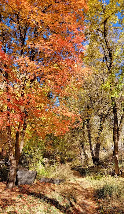 Little Mill Campground Picture 7