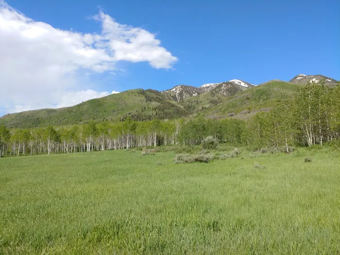 Little Deer Creek Campground Picture 9