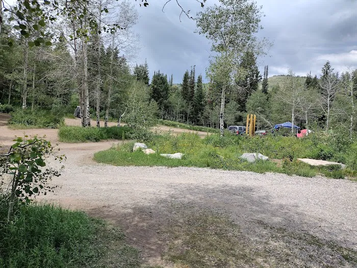Salamander Flat Trail Head Campground Picture 4