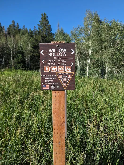 Salamander Flat Trail Head Campground Picture 8