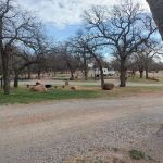 Redbud Campground