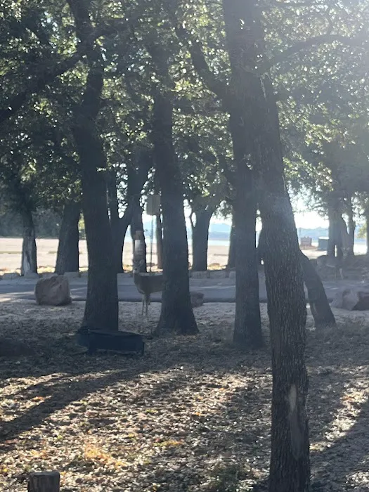 Live Oak Campground Picture 8