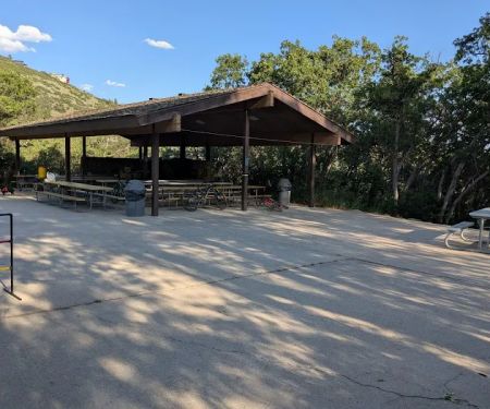 Springer Hollow Group Campsite