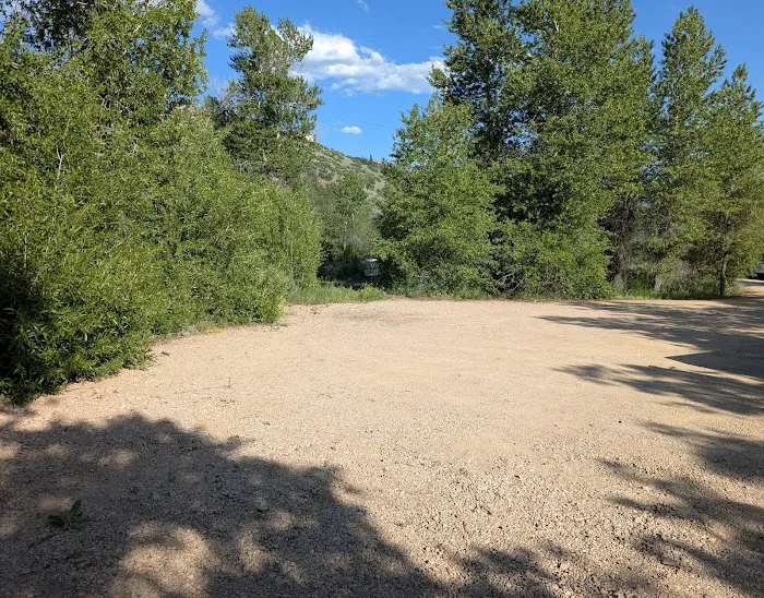 Springer Hollow Group Campsite Picture 5